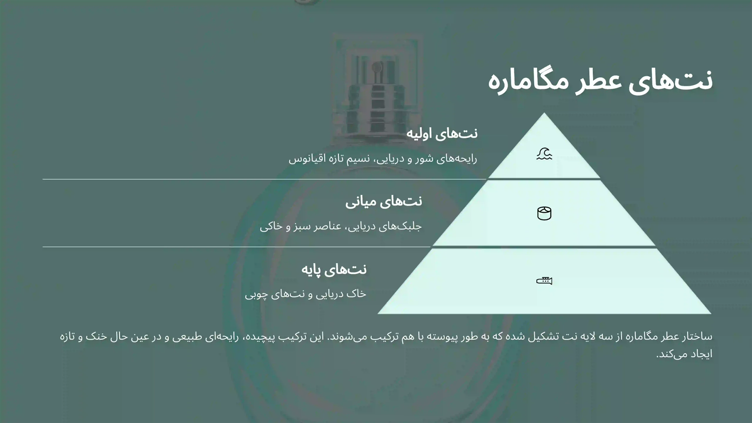 قیمت ادکلن مگاماره 