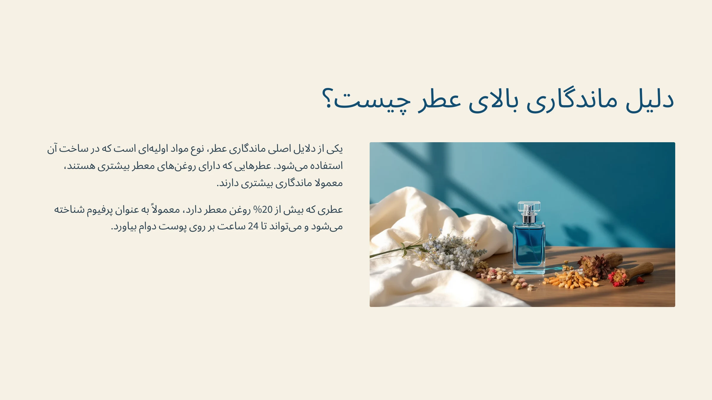 تصویری از دلیل بالای ماندگاری عکس چیست ؟ 
