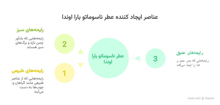 تصویری از توضیحات  عطر ناسوماتو بارا اوندا 